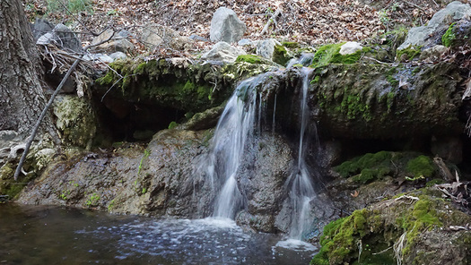 Davy Brown Creek on California's Central Coast is just one waterway that would be protected under the Central Coast Heritage Protection Act. (Cheryl Frei)