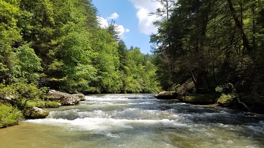 This is the Red River, where nearly a half-century ago a flood-control project sparked controversy. (U.S. Forest Service)