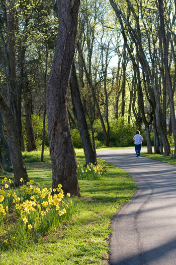 Arkansas now ranks sixth in the country for adult obesity rates, down from first place last year. (iStockimages)