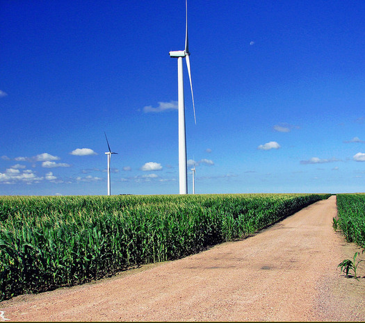 A new survey shows young Republican voters are in favor of renewable energy. (Don Graham/Flickr)