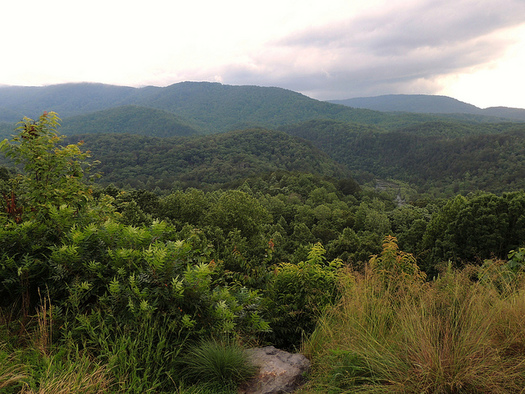 The Cherokee National Forest with 85,000 acres in Carter County is protected as public land. (John Iwanski/Flickr)