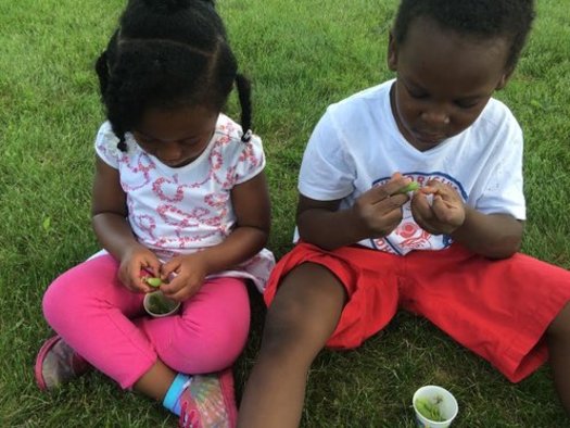 Letting children touch, feel and taste locally grown foods is part of National Farm to School Month observations in October. (Institute for Agriculture and Trade Policy)