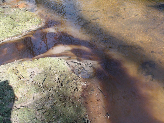 Swine waste flows into creeks in North Carolina, tainting the areas ground water supply. (Waterkeeper Alliance, Inc./Flickr)