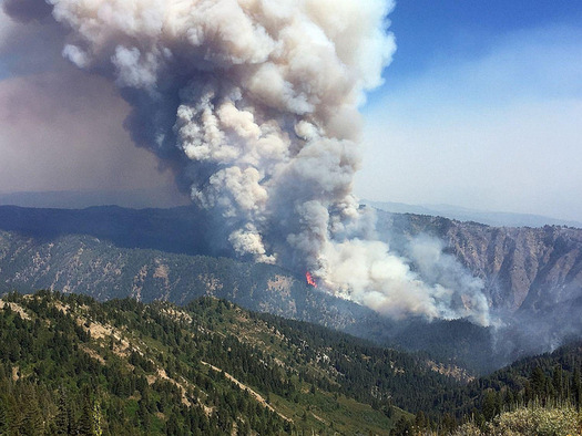 The Pioneer Fire in Boise National Forest has been burning since July. (U.S. Department of Agriculture)