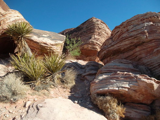 Red Rock Canyon outside Las Vegas is one of many areas managed by the Bureau of Land Management. (kconnors/morguefile)