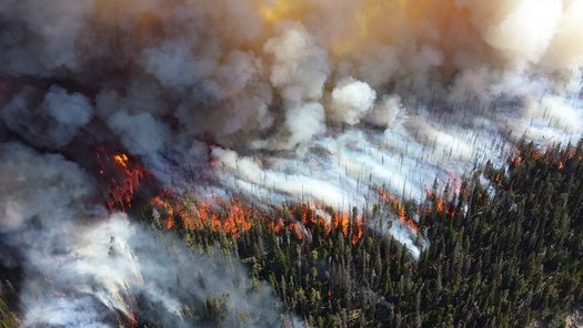 Climate change has doubled the area affected by Western U.S. forest fires, according to new research. (Pixabay)