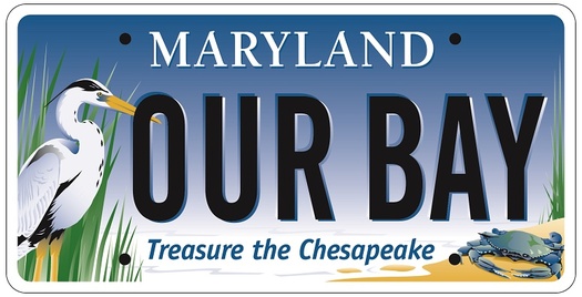 Buying the Bay Plate supports education programs and restoration work benefitting the Chesapeake Bay. (cbtrust.org)