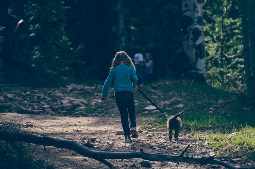 More Granite State children had health insurance in 2015 compared to 2013. (Brian Brown/Flickr)