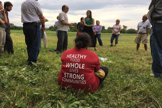 Target, Costco and Whole Foods scored best on a new report card on organic produce and bee-friendly policies. (Northeast Organic Farming Association)