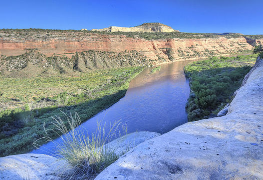 Los miembros del Condado se reducen por un grupo que trabaja en transferir tierras pblicas como el rea Nacional de Conservacin McInns Canyon a los estados. (Bureau of Land Management)
