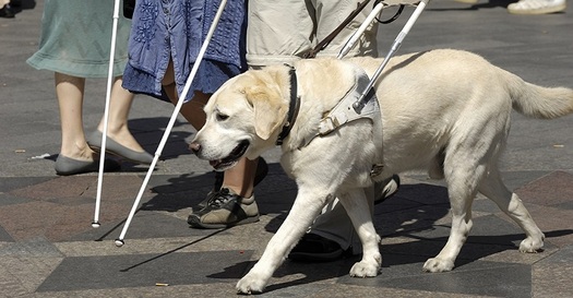 About 56 million Americans live with some type of disability, and voters guides are available by state featuring candidates' views on the issues that affect them. (cityofirvine.gov)