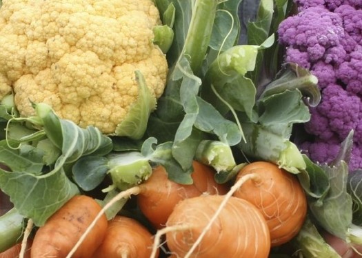 Eating a colorful variety of veggies is heart-healthy and may help prevent heart disease. (UW Extension)