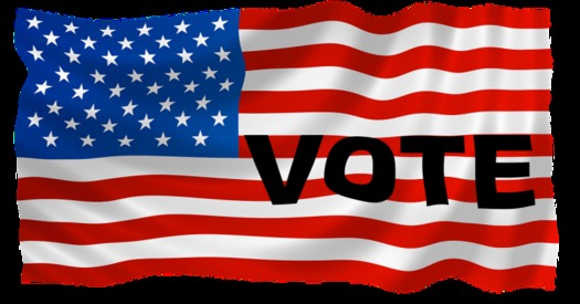 There are 7.5 million registered voters in Michigan. (Pixabay)