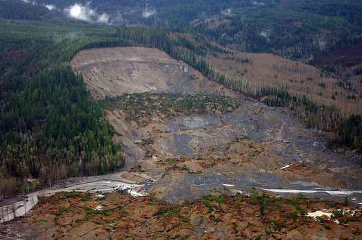 The Oso landslide in 2014 killed 43 people in northwest Washington. (Jonathan Godt/USGS)