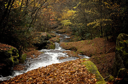 Resource Institute is engaged in projects around North Carolina to improve water quality for recreation, human consumption and agriculture. (David Lanham/flickr.com)