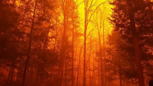 The night sky was bright orange on Monday night as wildfires engulfed parts of Gatlinburg, Tenn., displacing thousands and destroying dozens of homes and businesses. (National Park Service)