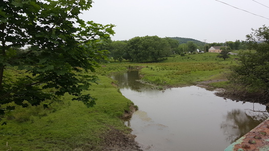 Conversion of stream buffers to crop production has increased agricultural runoff, creating problems for wildlife and water quality. (JackTheVicar/Wikipedia)