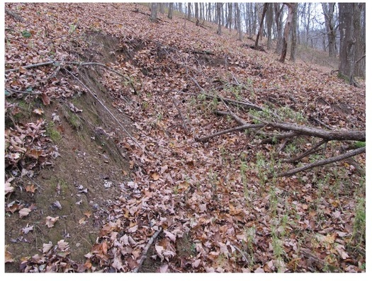 Critics of the Atlantic Coast Pipeline say its path is dangerously prone to landslides. (Malcolm Cameron/the Dominion Pipeline Monitoring Coalition)