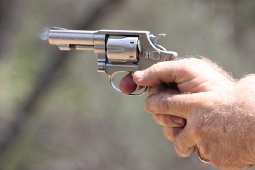 Gun purchases are likely to be a topic in Washington, D.C., and in Illinois this year. (KeterMagick/Morguefile)