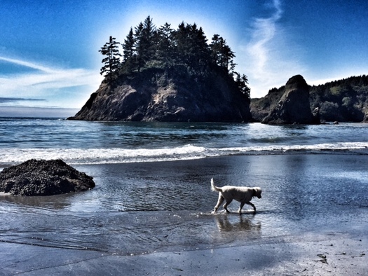 The view on a walk below the Trinidad Head, an area now protected and more accessible to the public. (Julie Fulkerson)