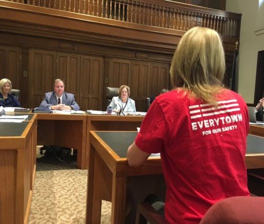 Opponents of a measure to repeal the Granite State's concealed carry gun law say it would put public safety at risk. (Moms Demand Action NH)