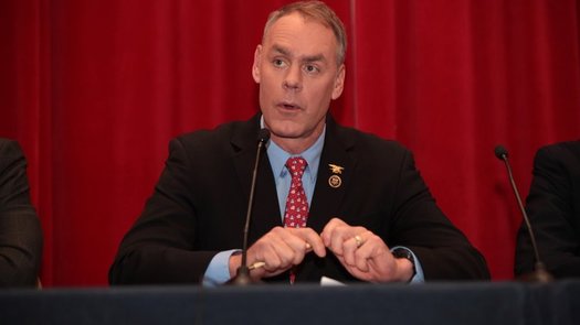 Congressman Ryan Zinke, President-elect Donald Trump's pick to run the Interior Dept., testified that he's committed to a balanced and sustainable approach for managing the nation's public lands. (U.S. House of Representatives)