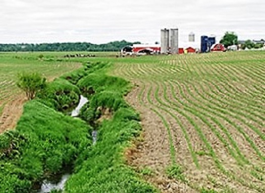 Agricultural runoff flows into the lakes and rivers from which hundreds of towns draw their water. (usgs.gov)