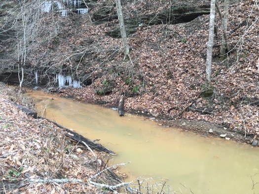 Conservationists are fighting back against attempts to gut new regulations that attempt to stop future pollution of streams such as this one that spills into the Kentucky River. (Tarence Ray)