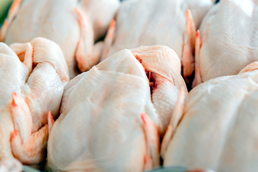 Poultry processing is a $4 billion a year industry in Arkansas, employing more than 40,000 people. (nd3000/iStockphoto)