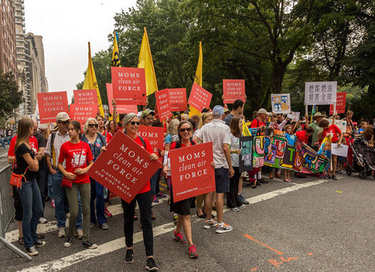 Rallies and marches are planned in New Hampshire and the nation this weekend to support recent gains made on women's rights, civil rights, health care and the environment. (Mom's Clean Air Force) 