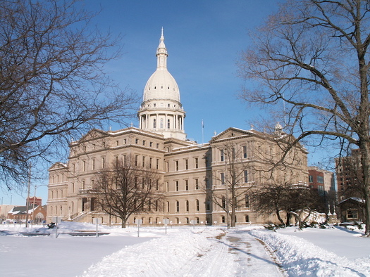 A large crowd is expected Saturday at the Women's March on Lansing. (Phillip Hoffmeister/Wikimedia Commons)