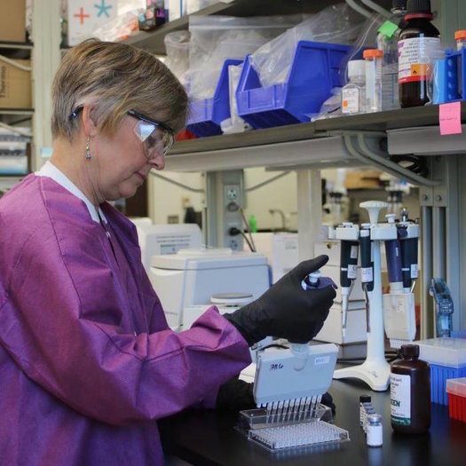 Scientists say federal funding is helping make inroads in the fight against cancer. (cdc.gov)