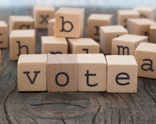 Tuesday's primary election in Wisconsin is likely to draw very sparse turnout, with only one statewide race on the ballot. (vesmil/iStockphoto)