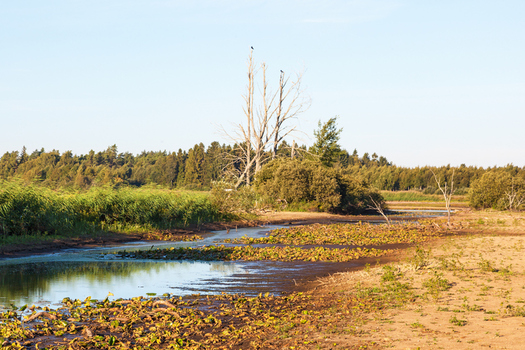 High-capacity wells are causing lakes and streams in Wisconsin to dry up. (TT/iStockPhoto.com)