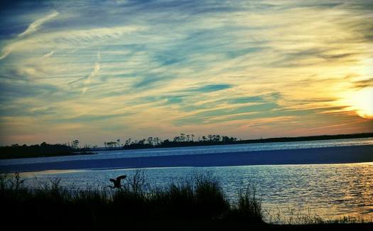 An event that highlights the work being done to improve Chesapeake Bay water quality is in its 19th year. (stateparks.com)