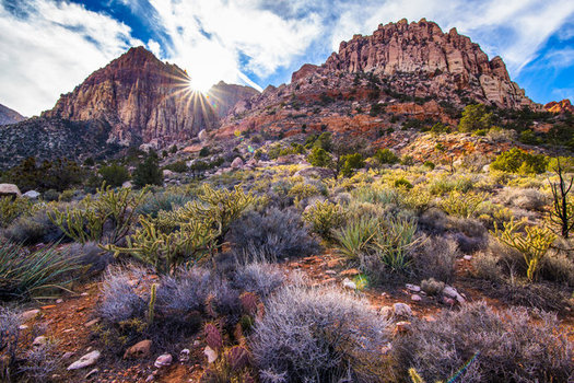 A proposed new bill would shield lands surrounding National Conservation Areas, such as Red Rock Canyon, from development. (Battle Born Progress)