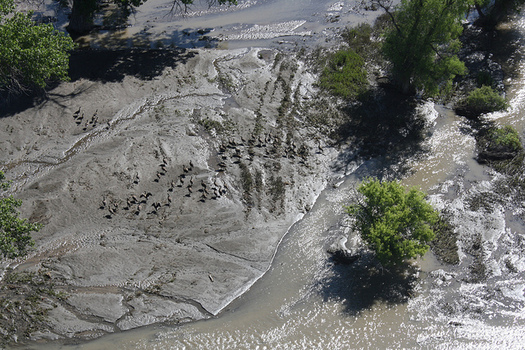 An oil spill on the Yellowstone River in 2011. Conservation groups are concerned another spill will happen if the Keystone XL pipeline is built. (David Rouse/USFWS)