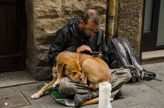 Shelter allowances for people on public assistance fall far short of the cost of housing. (sinzicraciun0/Pixabay)