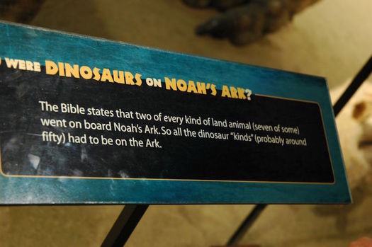 A report found a significant number of religious schools that receive vouchers teach creationism as science. (John Scalz/Flickr)