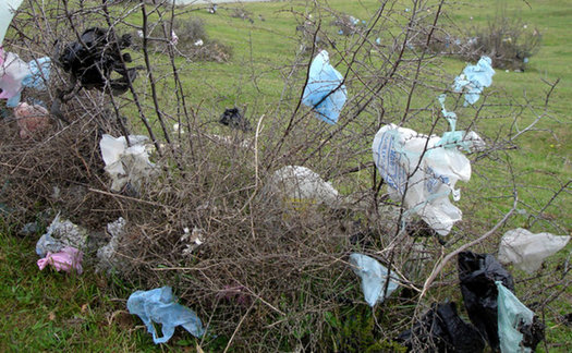 Litter is only one reason some communities ban retailers' use of plastic bags. They can also damage equipment at recycling facilities. (Metro Waste Authority)