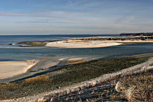 Pollution is creating more dead zones in Long Island Sound. (Ryssby/Wikimedia Commons)