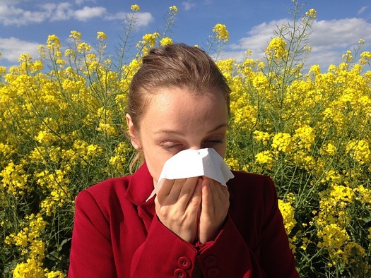 Washingtonians can prepare themselves for allergy season with over-the-counter nasal sprays and antihistamines. (cenczi/Pixabay)