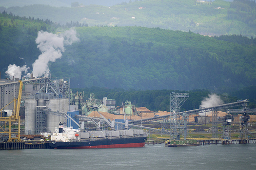 Protesters in Saturday's People's Climate March oppose a proposed coal terminal on the Columbia River in Longview. (Sam Beebe/Flickr)