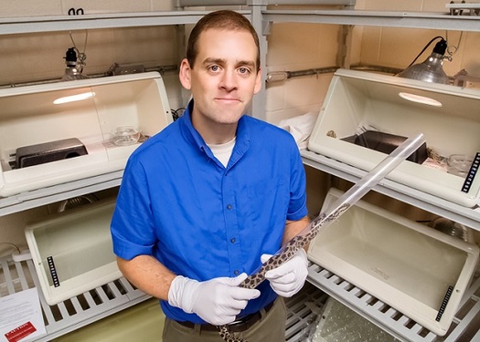 Epidemiologist Matt Allender came up with a test for sick snakes that's much quicker and less invasive. (University of Illinois)