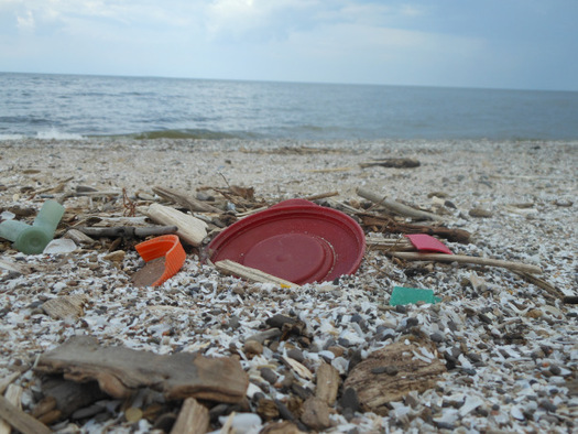 Most of the trash along the Great Lakes is the result of human activity, and the job is often left to volunteers to pick it up. (NOAA)