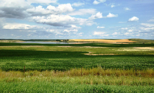 North Dakota is the largest producer of barley and many other cereal grains in the United States. (Krista Lundgren/USFWS)