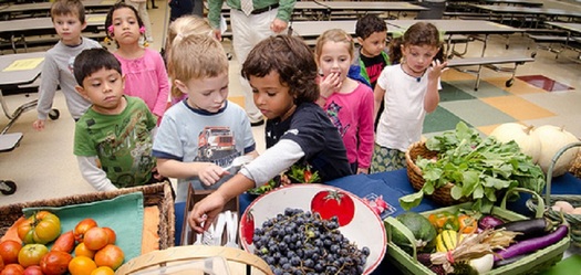 A new report says 38 Indiana counties have food insecurity rates among children at or above 20 percent. (USDA)