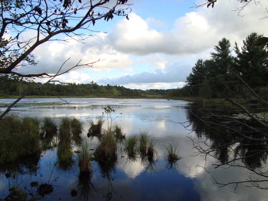 People living near Evart fear a potash mining operation could destroy the sensitive wetlands around the area. (K. Ford) 