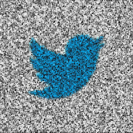 Twitter stakeholders could commission a study to see what the company would look like as a user-owned cooperative. (Esther Vargas/Flickr)