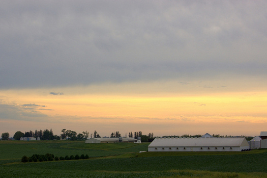 The Conservation Reserve Program - Transition Incentives Program can help prospective farmers access land in Iowa. (Mark Hesseltine/Flickr)